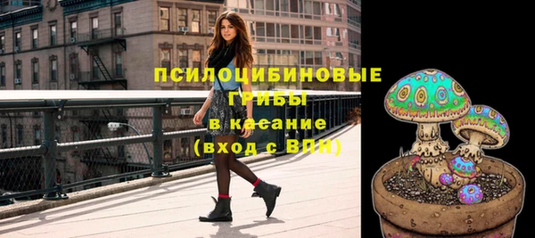 ешки Аркадак