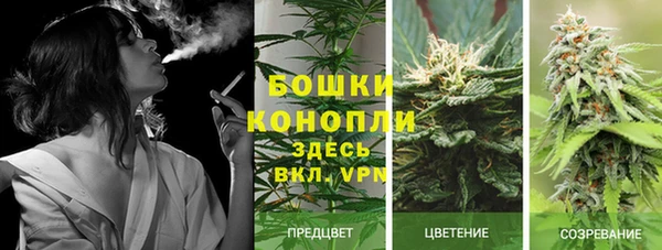 ешки Аркадак