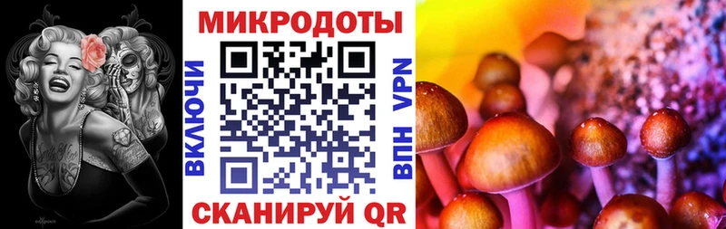 Псилоцибиновые грибы Psilocybine cubensis  Олёкминск 